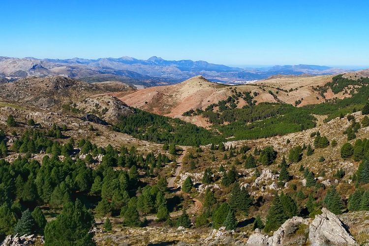 Paisaje de la Sierra de las Nieves, Málaga, Andalucía