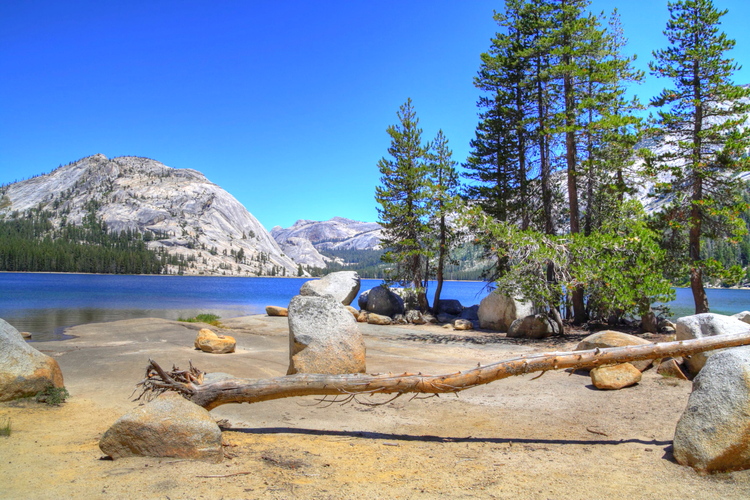 Tenaya Lake, Yosemite, California