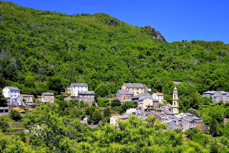 Paisaje típico de la Castagniccia, Córcega, Francia