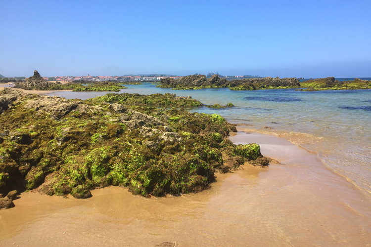 Playa de Trengandín, Noja, Cantabria