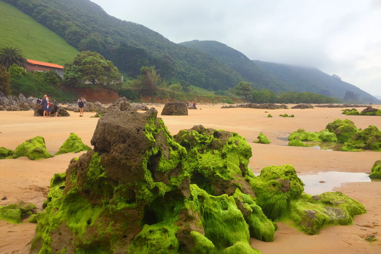 Playa de Trengandín desde El Brusco, Noja, Cantabria