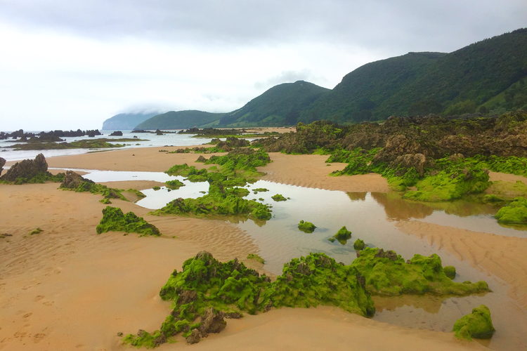 Rocas en Trengandín, Noja, Cantabria