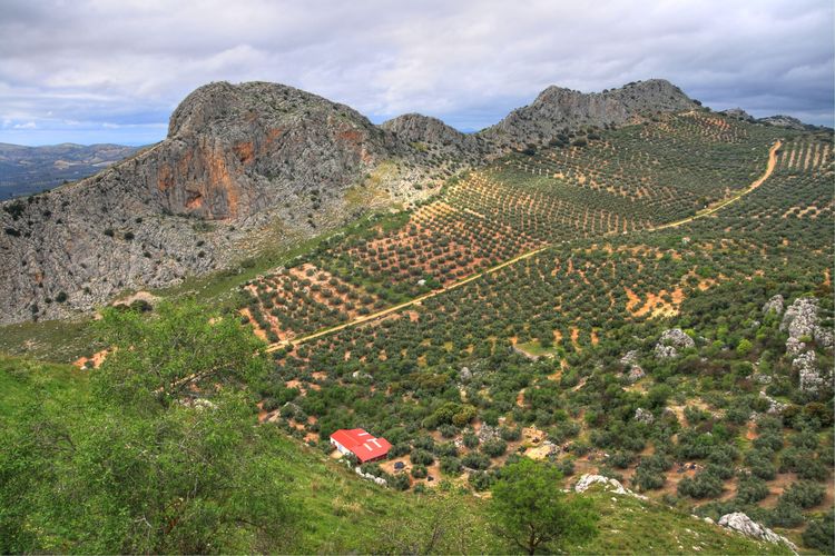 Vistas desde la Ermita de Archidona, Málaga, Andalucía