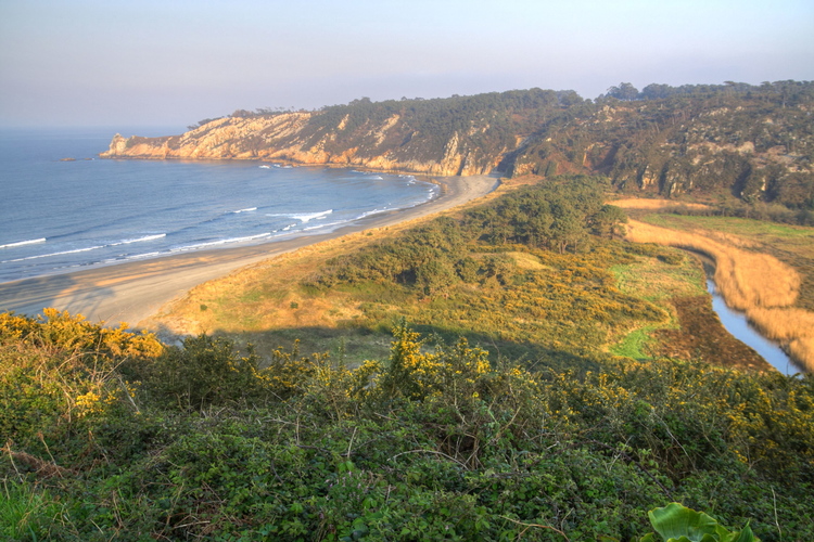 Reserva natural de Barayo, Asturias