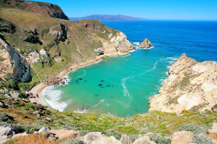 Santa Cruz, Channels Islands, Potato Harbor