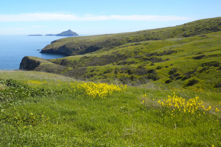 Vista hacia Atacapa, Santa Cruz, Channel Islands