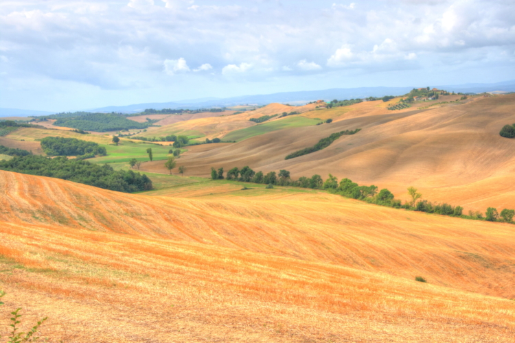 Otra vista de Crete Senesi, Siena, Toscana, Italia