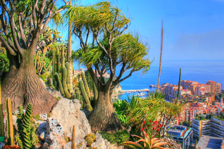 Jardines exóticos de Mónaco