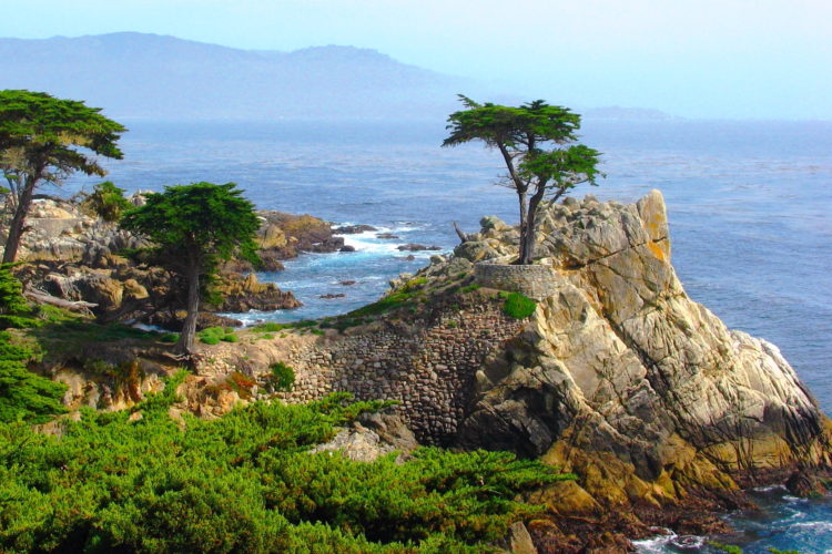 Lone Cypress, Carmel, USA, California
