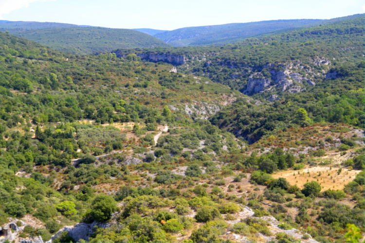 Vistas hacia las Gorges de Nesque desde Methamis, Provenza, Francia