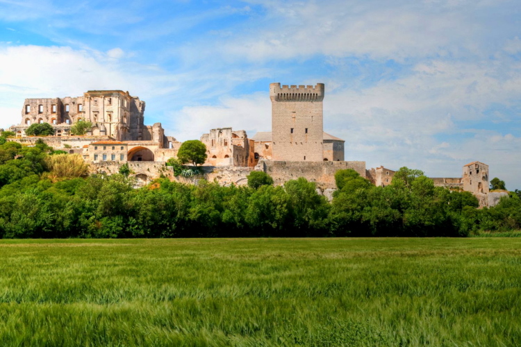 Abadía de Montmajour, Provenza, Francia
