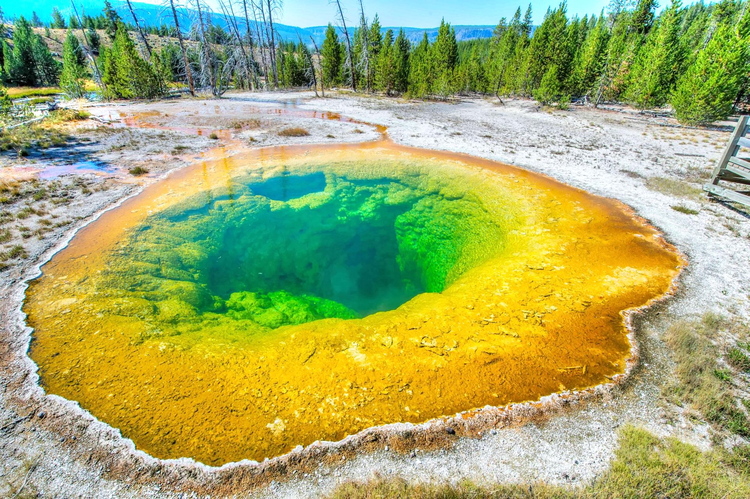 Morning Glory Pool