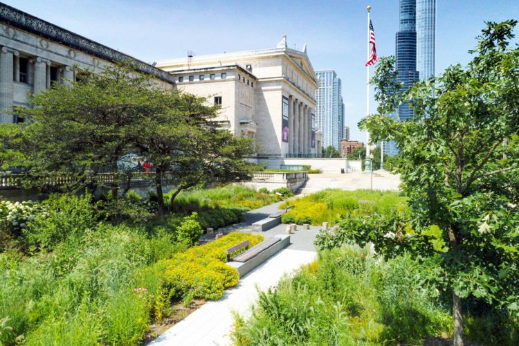 Museo Field de Historia Natural, Chicago, USA, Estados Unidos