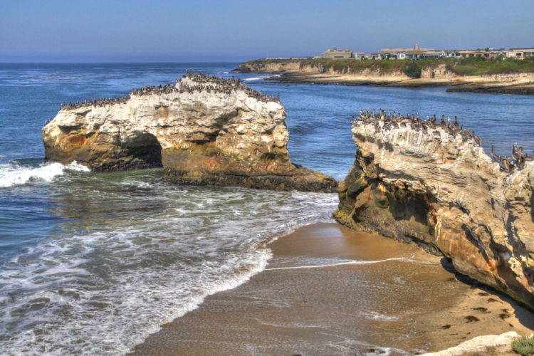 Natural Bridges, Santa Cruz, USA, California