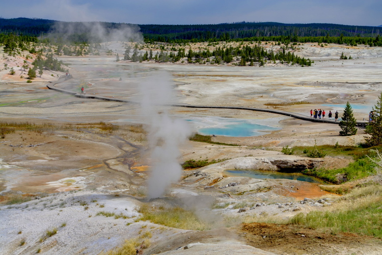 Norris Geyser Basin