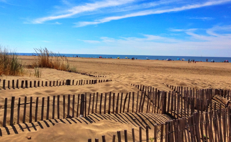 Otra vista de la zona de dunas