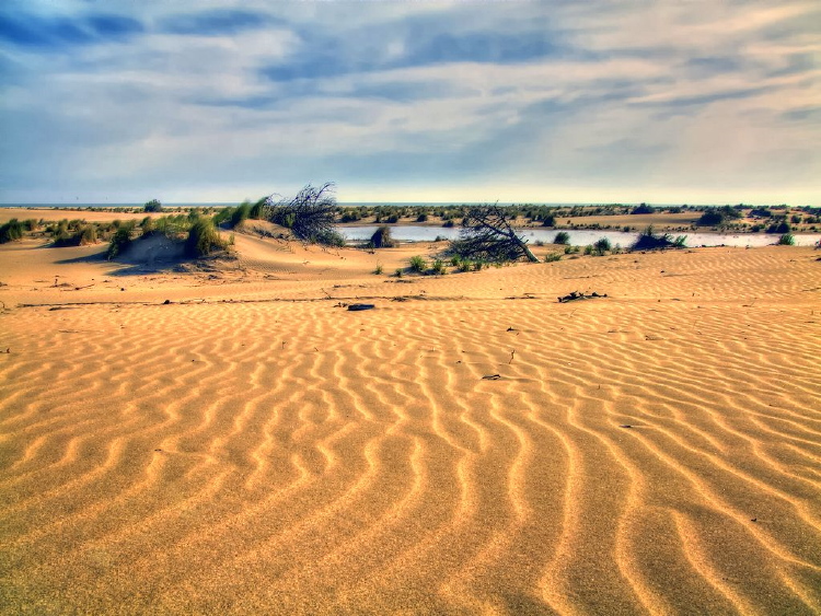 Zona de dunas