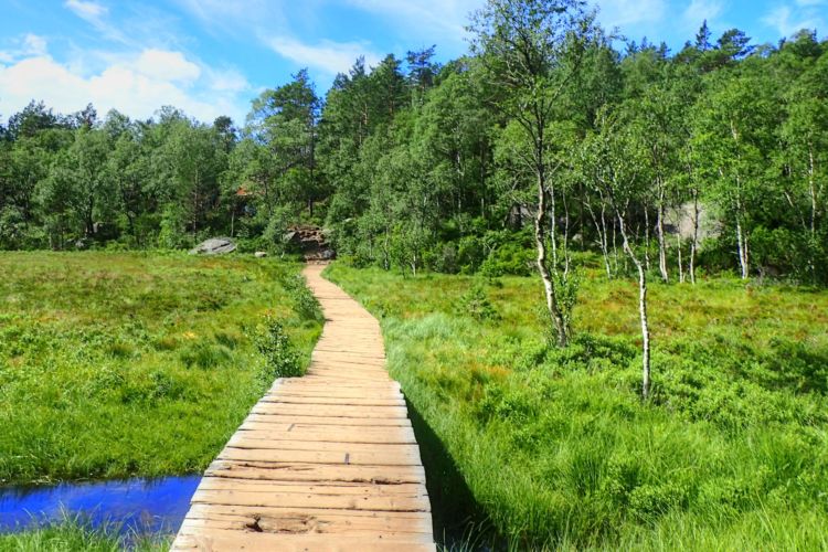 Pasarela de madera camino al Púlpito