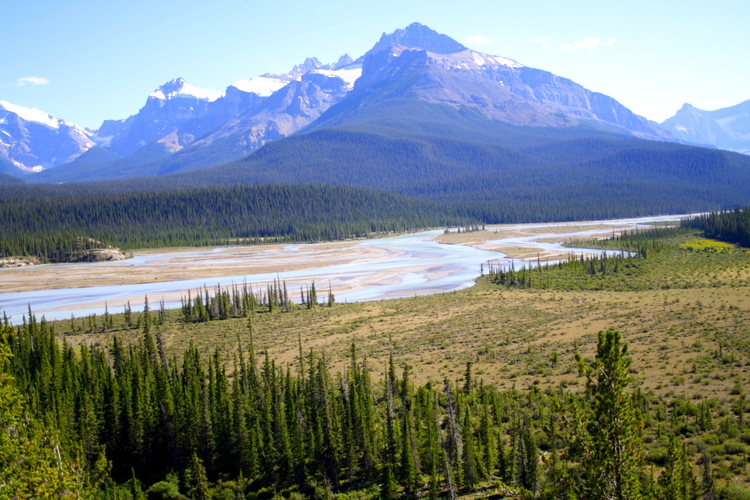 Río Athabasca en el Parque Nacional  de Jasper, Canadá, Alberta