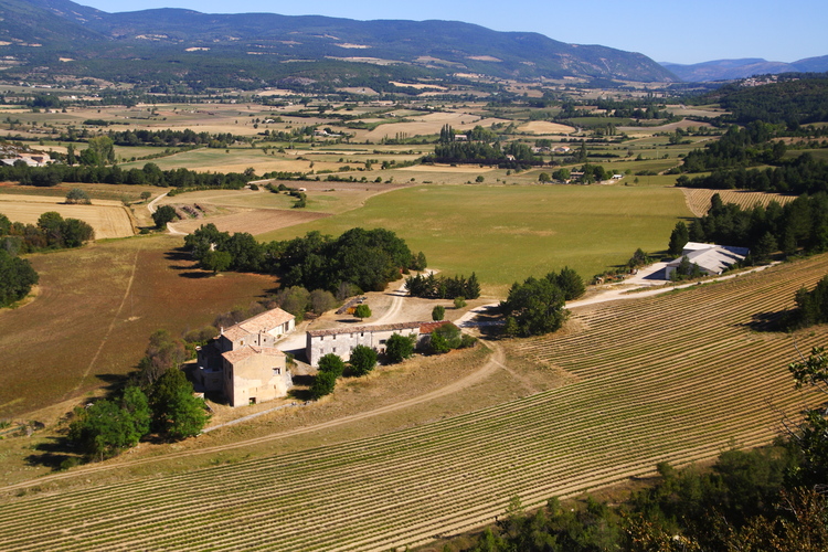 Campos alrededor de Sault, Provenza, Francia