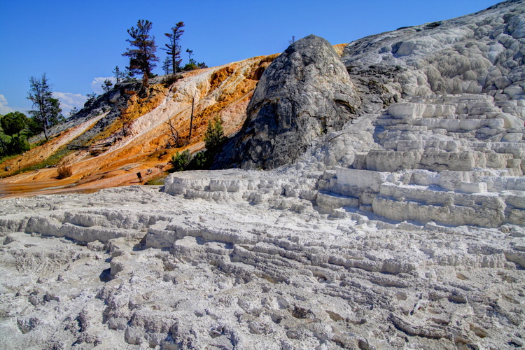 Mammoth Hot Springs