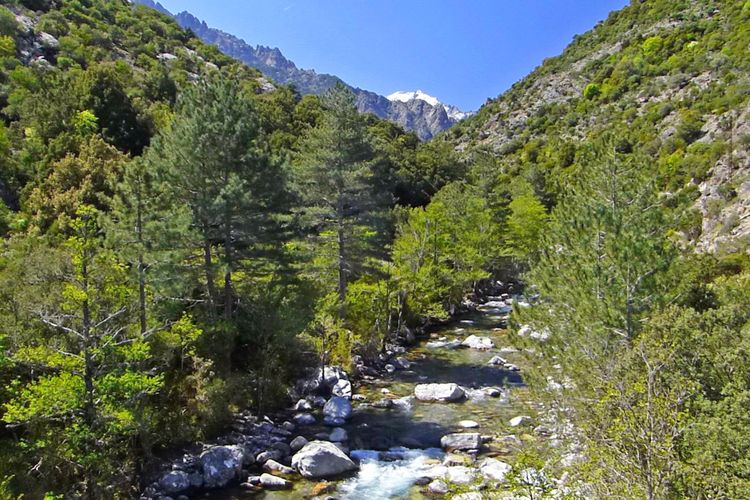 Valle de Asco, Córcega, Francia