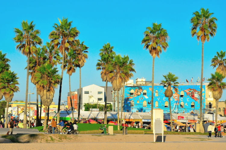 Venice Beach, California, USA, Los Angeles