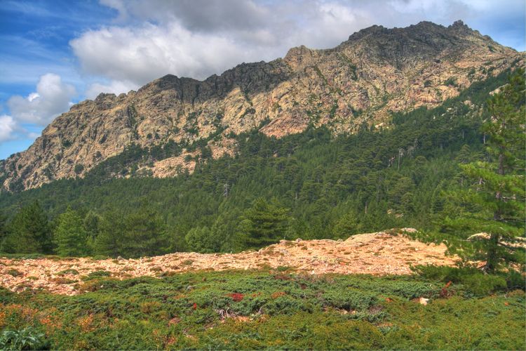 Vistas desde el Col de Verghio, Córcega, Francia