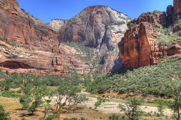 Paisaje en el cañón de Zion
