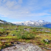 Otro tramo del camino a Trolltunga