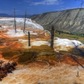 Terrazas de Mammoth Hot Springs