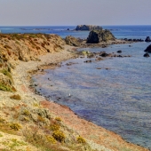 Punta Falcón
