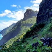 Vistas hacia el norte desde el Kalalau Trail