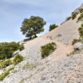 Pedrera en la vertiente sur de la Sierra de Bernia