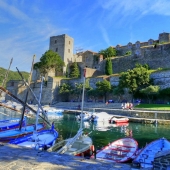 Castillo de Collioure
