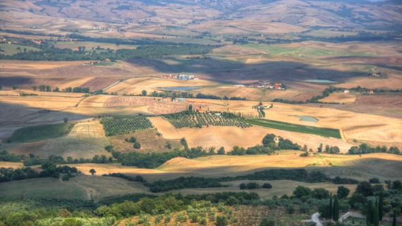 Toscana, campo, vistas, Italia