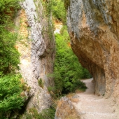 Desfiladero del río Purón, Valderejo